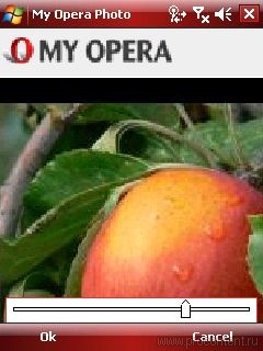  35  Opera Mobile 9.5   