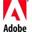Adobe  ARM  Flash   