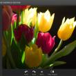 Adobe Photoshop Express 1.3  Android   -