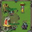  life:)      MMORPG Age of Heroes