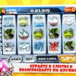   The Slots:    iPhone, iPod touch  iPad