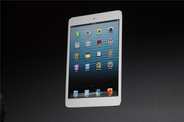  47  iPad Mini:   - ,    