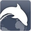 Браузер Dolphin Zero для Android: акцент на приватности