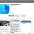 - Blue Downloader   App Store,  
