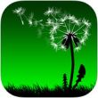   Leaf on the Wind  iOS: , ,   