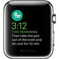  3  WatchKit -    Apple iWatch