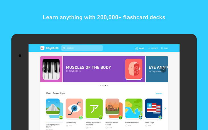 Приложение Tinycards на Андроид для изучения иностранных языков