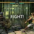  Shadow Fight 3:      iPhone  Android