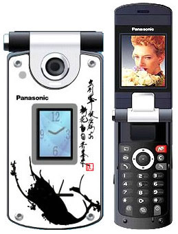 Panasonic X800